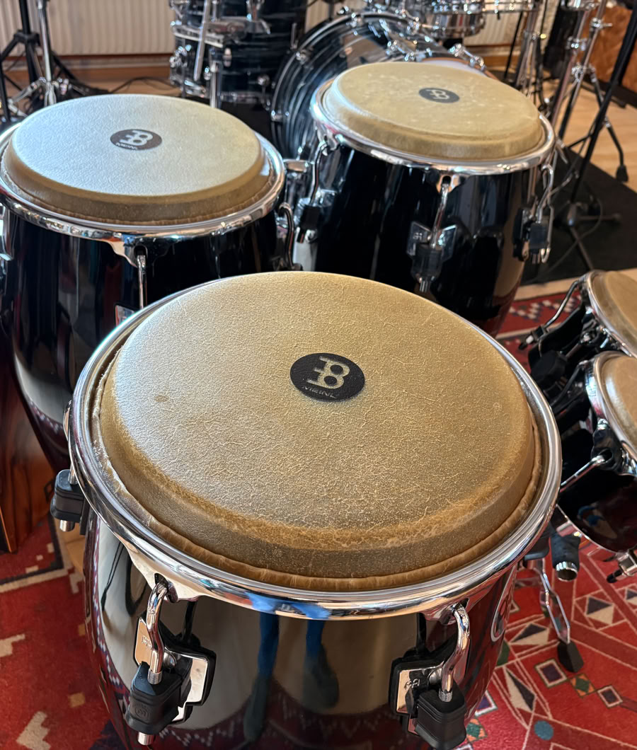 Die perfekten Begleiterinnen fürs Lagerfeuer